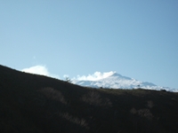 nte Mojo-30122011 074
